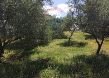 Giardino - Villa contrada corvo, Vizzini - foto 27