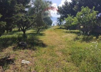 Giardino - Villa contrada corvo, Vizzini - foto 30