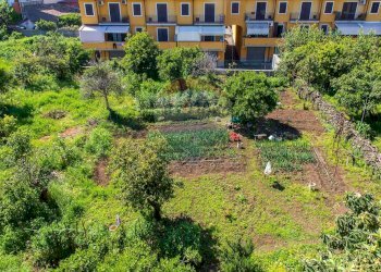 Giardino - Casa indipendente Via Marina
 
86, Fiumefreddo di Sicilia - foto 18