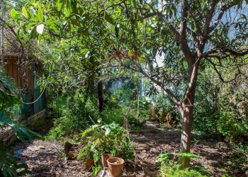 Giardino - Casa indipendente Via Marina
 
86, Fiumefreddo di Sicilia - foto 81