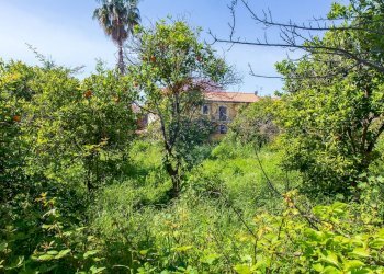 Giardino - Casa indipendente Via Marina
 
86, Fiumefreddo di Sicilia - foto 85