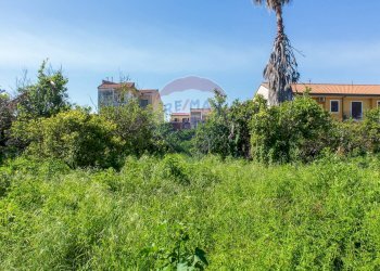 Giardino - Casa indipendente Via Marina
 
86, Fiumefreddo di Sicilia - foto 87