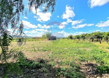 Giardino - Villa Contrada Burrione, Lentini - foto 27