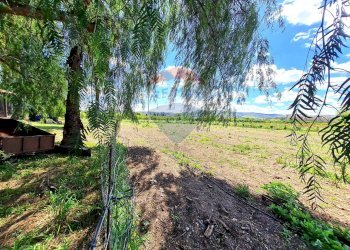 Giardino - Villa Contrada Burrione, Lentini - foto 28