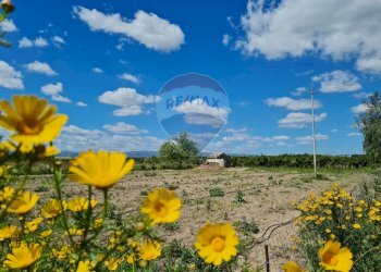 Non correlato - Villa Contrada Burrione, Lentini - foto 34