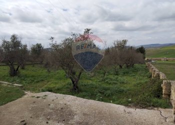 Giardino - Terreno edificabile contrada poggio impiso, Vizzini - foto 5