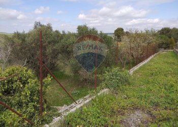 Giardino - Terreno edificabile contrada poggio impiso, Vizzini - foto 17