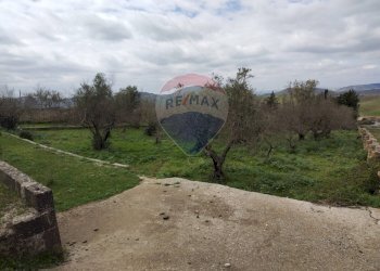 Giardino - Terreno edificabile contrada poggio impiso, Vizzini - foto 18
