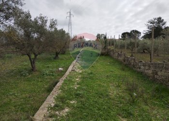 Giardino - Terreno edificabile contrada poggio impiso, Vizzini - foto 21