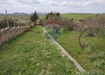 Giardino - Terreno edificabile contrada poggio impiso, Vizzini - foto 24