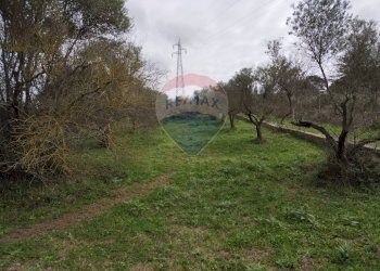 Giardino - Terreno edificabile contrada poggio impiso, Vizzini - foto 26