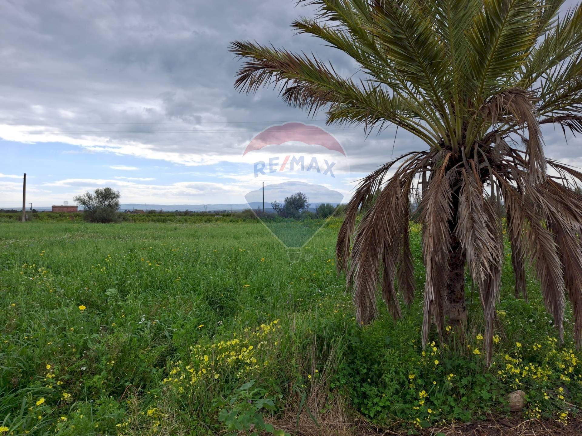 Giardino - Rustico Strada statale 192 - Portiere Stella - contrada Bagnara
 
5, Paterno - foto 1