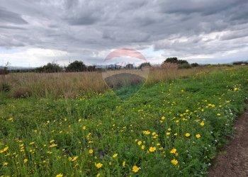 Giardino - Rustico Strada statale 192 - Portiere Stella - contrada Bagnara
 
5, Paterno - foto 14