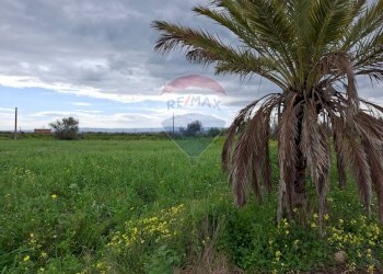Giardino - Rustico Strada statale 192 - Portiere Stella - contrada Bagnara
 
5, Paterno - foto 1