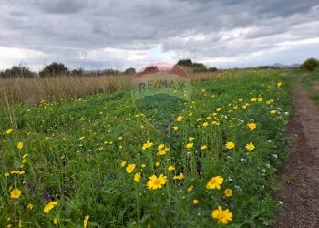 Giardino - Rustico Strada statale 192 - Portiere Stella - contrada Bagnara
 
5, Paterno - foto 13