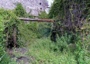 Giardino - Casa indipendente via Roma
 
153, Zafferana Etnea - foto 8