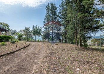 Giardino - Villa Contrada Poggio Impiso
 
snc, Vizzini - foto 50