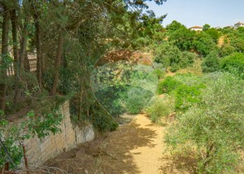 Giardino - Terreno agricolo Via Croce del Vicario
 
28, Caltagirone - foto 10