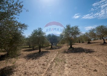 Giardino - Villa Contrada Renelle
 
snc, Caltagirone - foto 10
