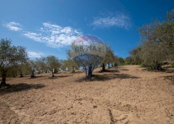 Giardino - Villa Contrada Renelle
 
snc, Caltagirone - foto 12