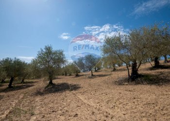Giardino - Villa Contrada Renelle
 
snc, Caltagirone - foto 13