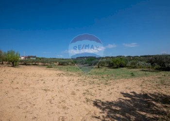 Vista delle montagne - Villa Contrada Renelle
 
snc, Caltagirone - foto 15