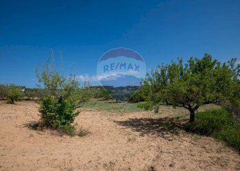 Giardino - Villa Contrada Renelle
 
snc, Caltagirone - foto 18