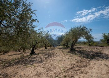 Giardino - Villa Contrada Renelle
 
snc, Caltagirone - foto 20