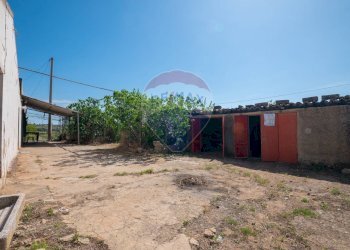 Giardino - Villa Contrada Renelle
 
snc, Caltagirone - foto 36