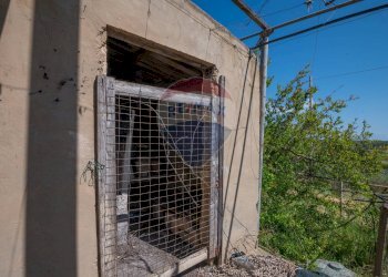 Dettagli - Villa Contrada Renelle
 
snc, Caltagirone - foto 38