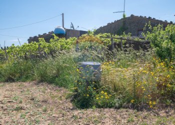 Vista delle montagne - Villa Contrada Renelle
 
snc, Caltagirone - foto 44