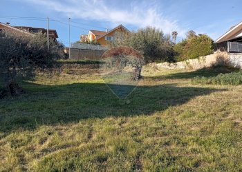 Giardino - Terreno edificabile Via Cesare Terranova
 
s.n., Mirabella Imbaccari - foto 1