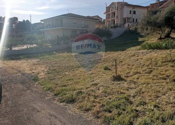 Giardino - Terreno edificabile Via Cesare Terranova
 
s.n., Mirabella Imbaccari - foto 4