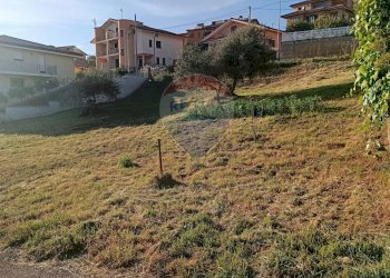 Giardino - Terreno edificabile Via Cesare Terranova
 
s.n., Mirabella Imbaccari - foto 5