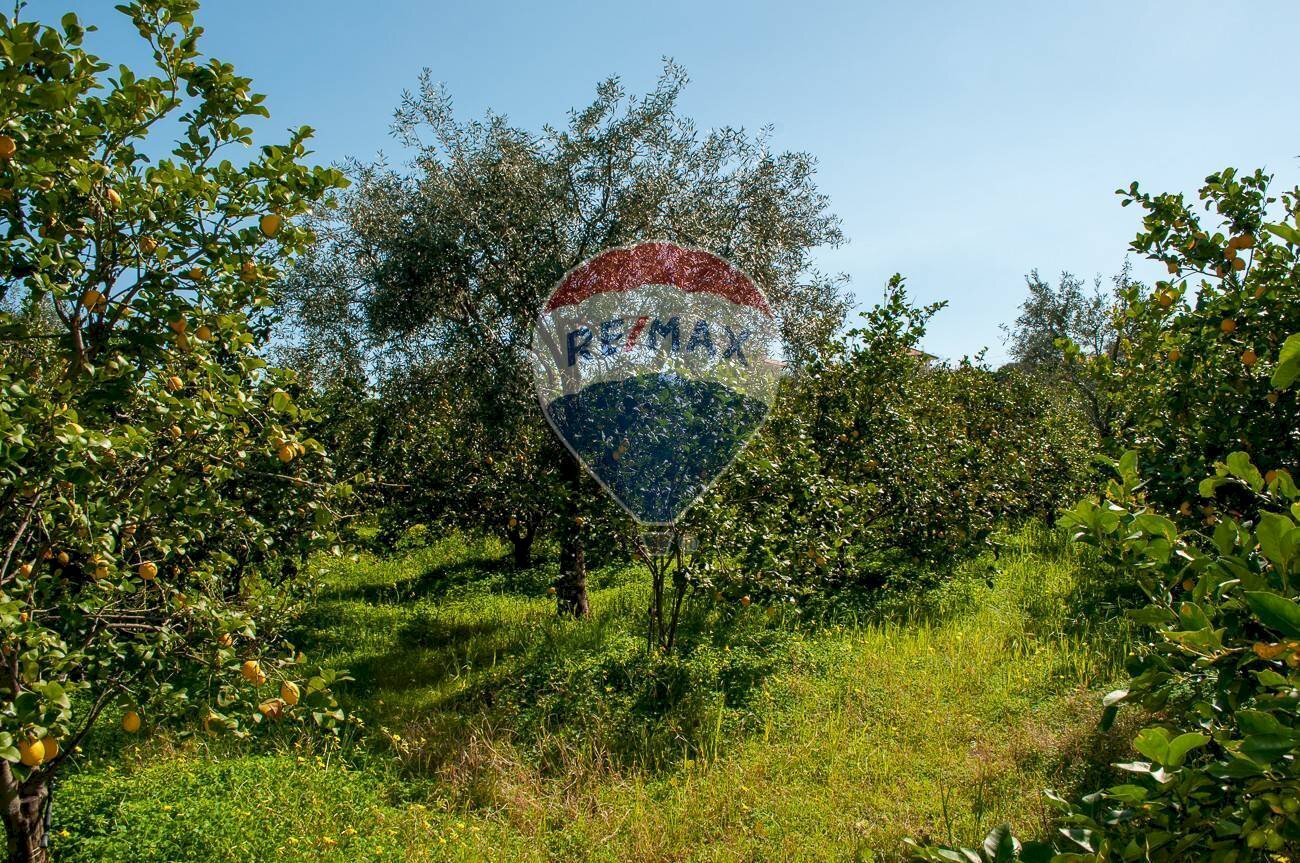 Giardino - Agricultural land C.da Ardichetto Petrone
 
23, Zafferana Etnea - photo 1