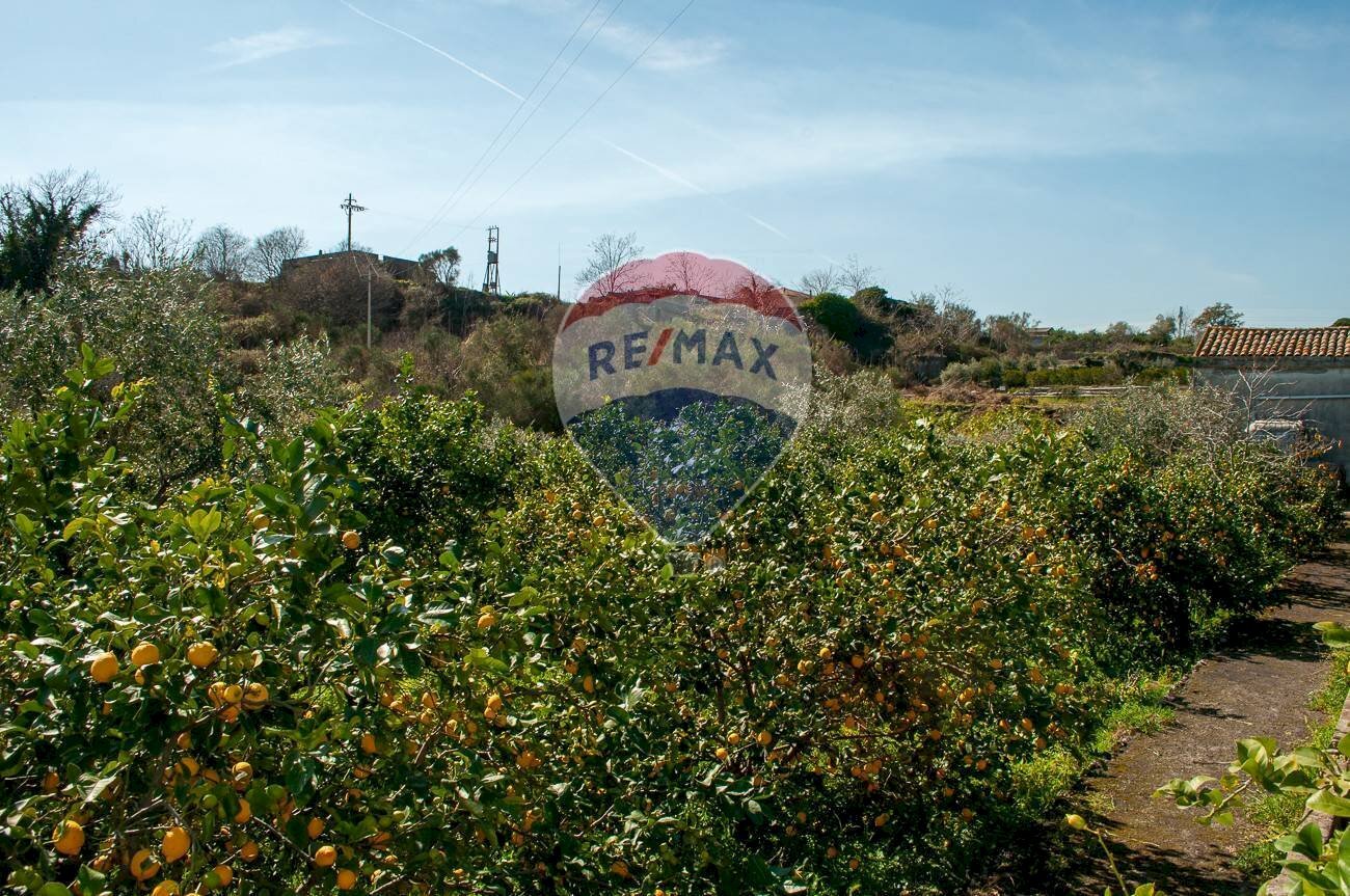 Vista delle montagne - Agricultural land C.da Ardichetto Petrone
23, Zafferana Etnea - photo 2