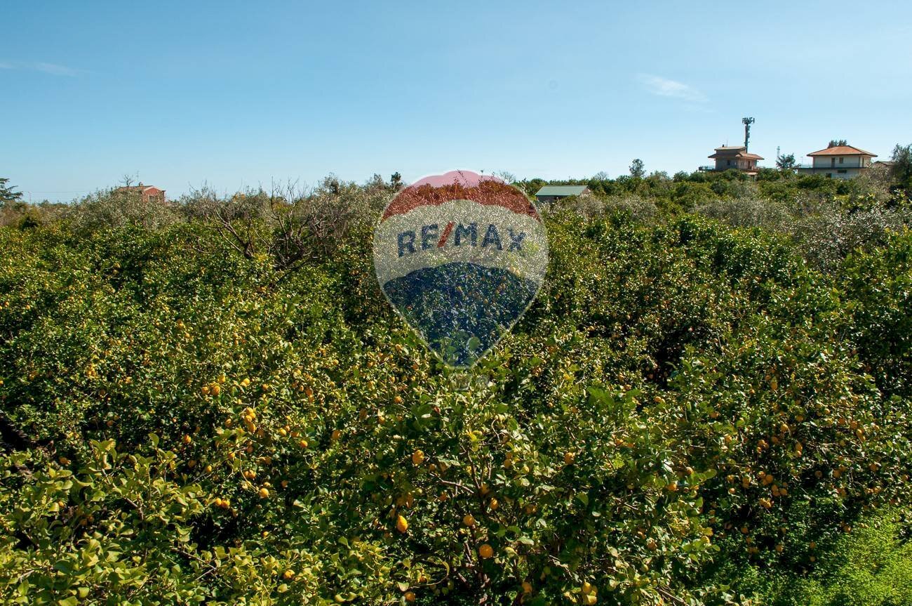 Non correlato - Agricultural land C.da Ardichetto Petrone
23, Zafferana Etnea - photo 3