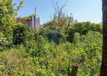 Giardino - Terreno edificabile Via Marina
 
84, Fiumefreddo di Sicilia - foto 11