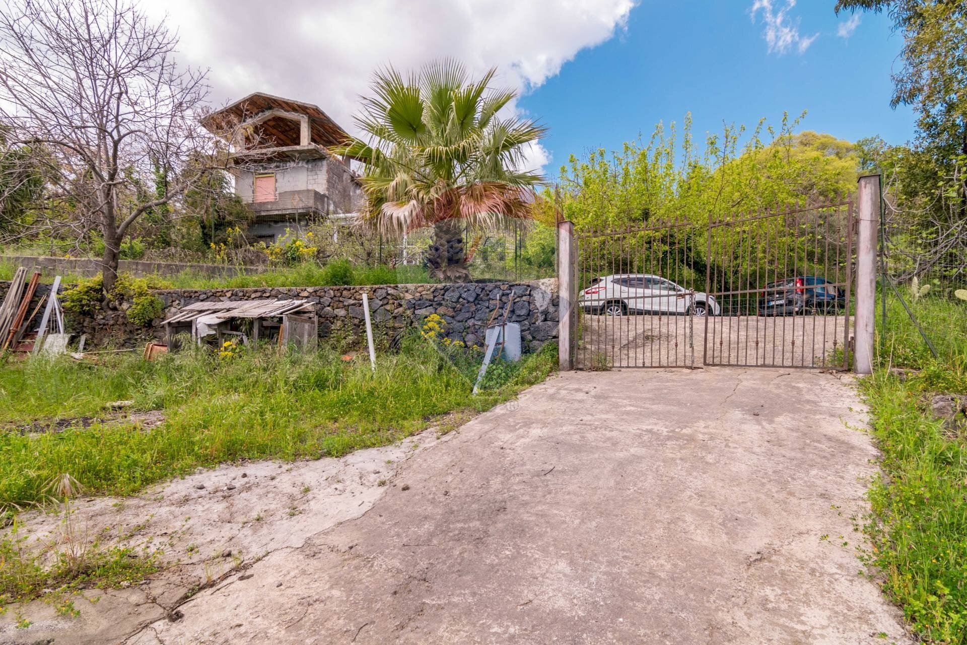 Giardino - Agricultural land Via Parisi
 
snc, Mascali - photo 2