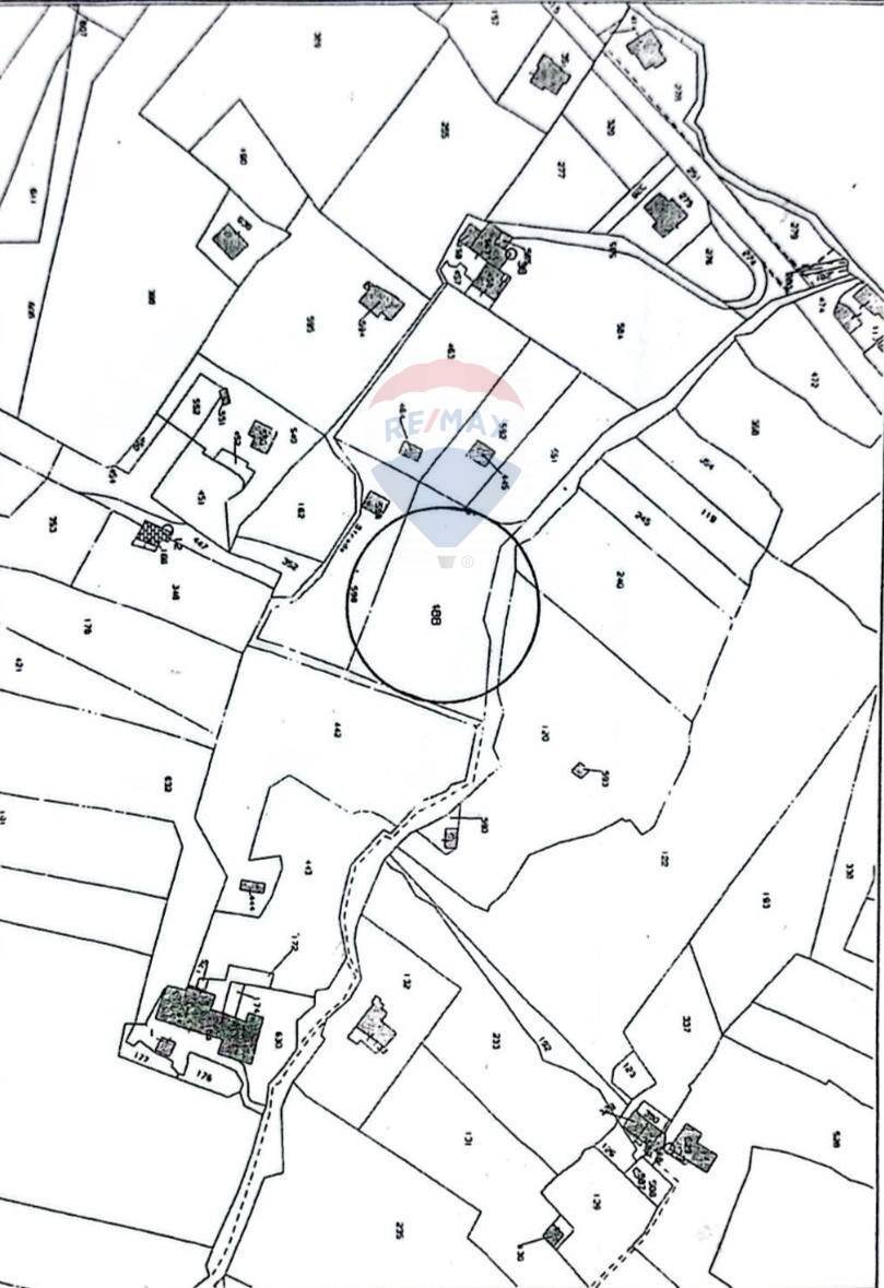 Pianta 2D - Agricultural land Via Parisi
 
snc, Mascali - floor plans 1