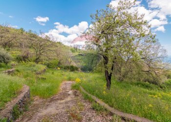 Giardino - Agricultural land Via Parisi
 
snc, Mascali - photo 5