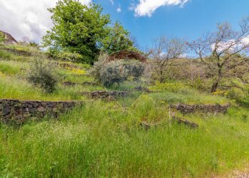 Giardino - Agricultural land Via Parisi
 
snc, Mascali - photo 6