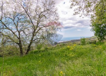 Giardino - Agricultural land Via Parisi
 
snc, Mascali - photo 8