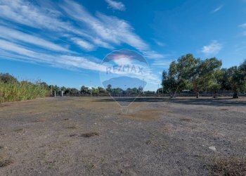 Vista delle montagne - Agricultural land Viale Presidente Kennedy
 
77, Catania - photo 9