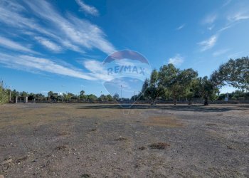 Vista delle montagne - Agricultural land Viale Presidente Kennedy
 
77, Catania - photo 10