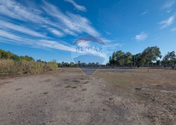 Vista delle montagne - Agricultural land Viale Presidente Kennedy
 
77, Catania - photo 11