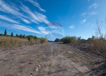 Vista delle montagne - Agricultural land Viale Presidente Kennedy
 
77, Catania - photo 15