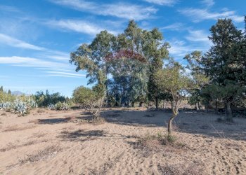 Vista dell\'acqua - Agricultural land Viale Presidente Kennedy
 
77, Catania - photo 16