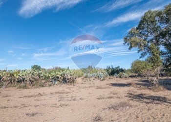 Vista delle montagne - Agricultural land Viale Presidente Kennedy
 
77, Catania - photo 17