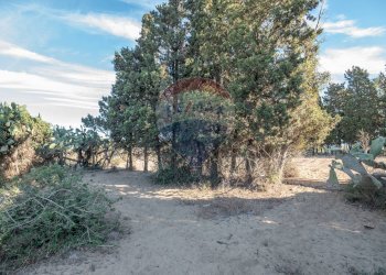 Giardino - Agricultural land Viale Presidente Kennedy
 
77, Catania - photo 18